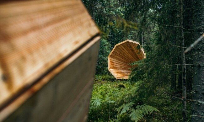 Чуй природата през огромни дървени мегафони