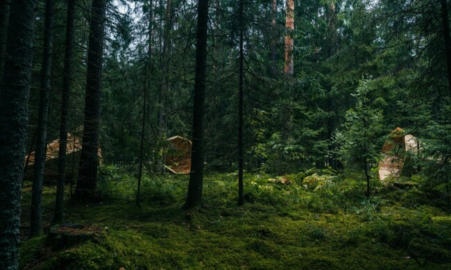 Чуй природата през огромни дървени мегафони
