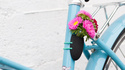 Нова мода: Вазичка с цветя на колелото