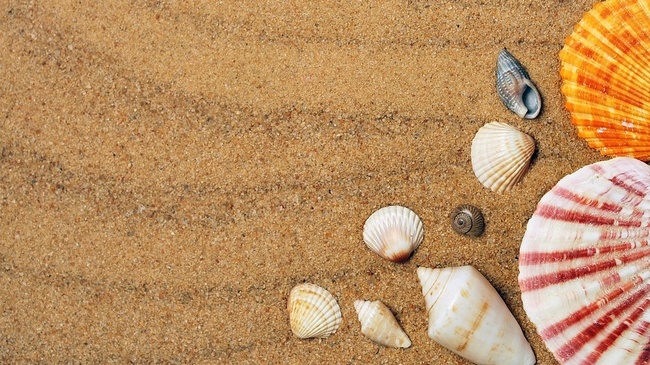 Обявиха кои са най-чистите плажове в света