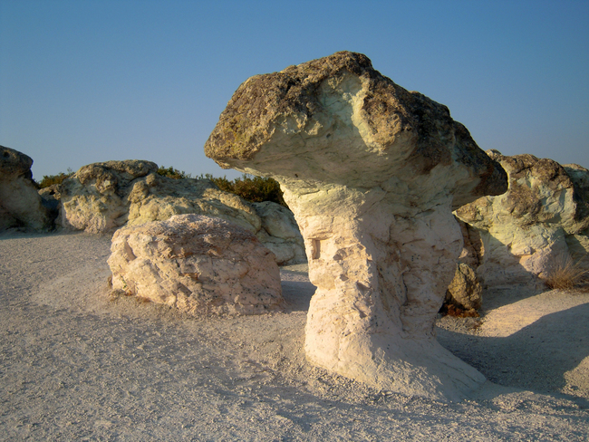 Каменните гъби край село Бели пласт - Скалните гъби при село Бели пласт