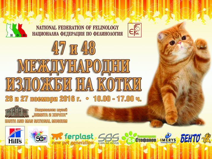 Международна изложба на котки
