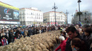 Една овца, две овце, три овце... в Мадрид