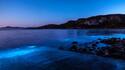 Природен феномен: море свети в луминисцентно синьо
