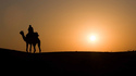 Митът за перфектната снимка на камила + пустинен залез