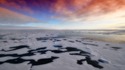 Защо Арктическо море става все по-зелено?