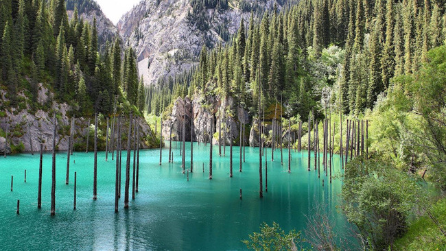 Магичната подводна гора в Казахстан