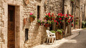 Спело – италианското бижу, изпълнено с цветя