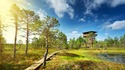 Изумителните природни паркове на Естония