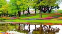 Цветните градини край Амстердам