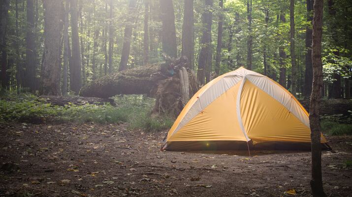 5 научни причини да ходим по-често на палатка