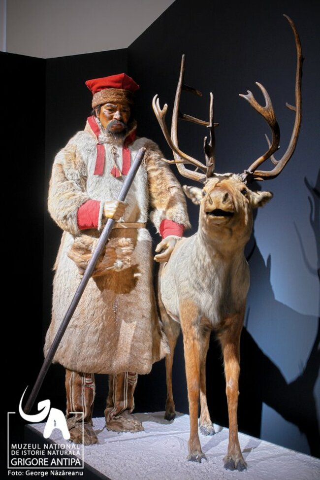 Природонаучният музей