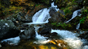 Бистришкият водопад – красота и спокойствие в полите на Рила