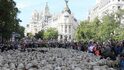 Фестивалът в Мадрид, посветен на добитъка