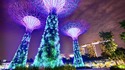 Красивите Градини до залива в Сингапур