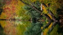 Няколко дестинации за среща със страхотни есенни цветове (1 част)