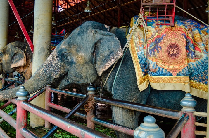 Най-известната туристическа атракция на Камбоджа вече е забранена
