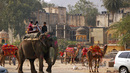 Индийски приключения с Николай и Елена - Моторни и животински превозни средства споделят градските улици