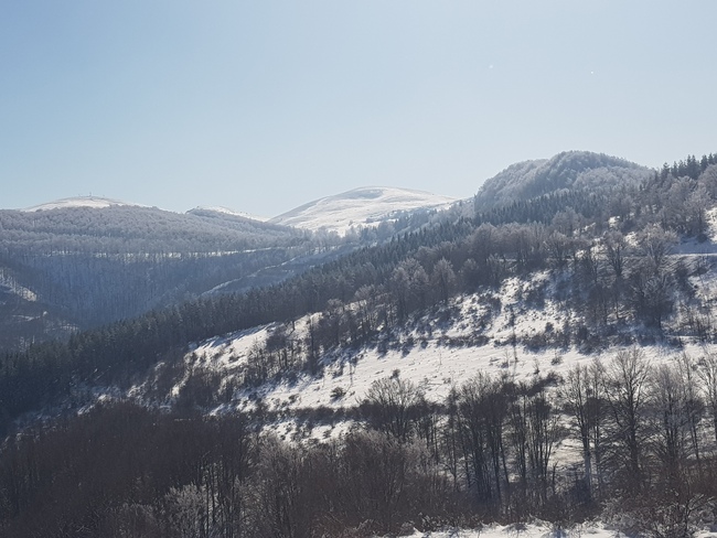 Снежна идилия във Врачански Балкан