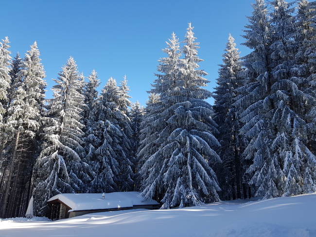 Снежна идилия във Врачански Балкан