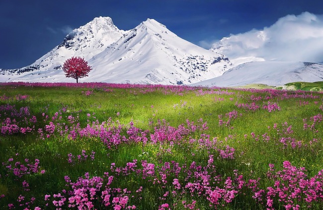 20 красиви пейзажа, които ще ви накарат да се почувствате спокойни