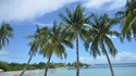 5 причини да посетите остров Себу във Филипините