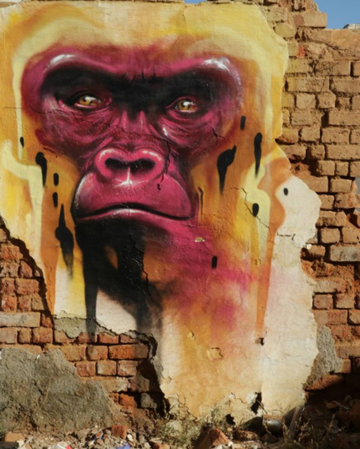 Художник от Африка прави графити, които взаимодействат със заобикалящата го среда