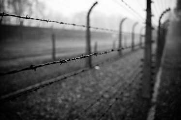 ФотоФабрика почита паметта на жертвите от Холокоста със „Седмият милион“