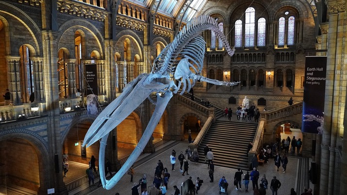 Разходка из Природонаучен музей Лондон