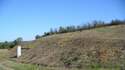Край Велико Търново ще се оформи нова гора с 5000 дръвчета