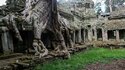 Ангкор, Камбоджа - храмовете, погълнати от джунглата