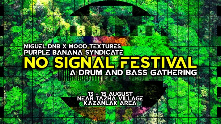No Signal Festival/Bass Gathering