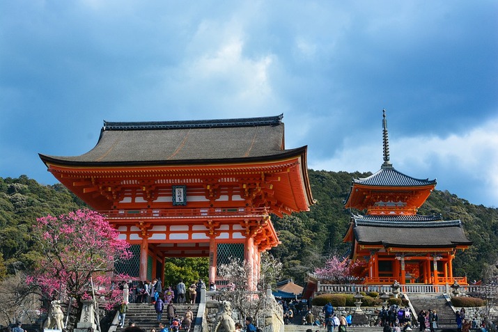Ханами (гледане на вишневите цветове в Япония)