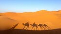 Празник на Сахара в Дуз