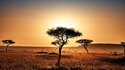 30 интересни факта за Кения