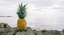 15 интересни факта за ананаса