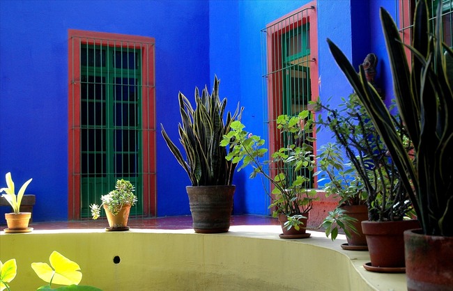 Фрида Кало и нейната синя къща