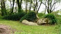 Спящата красавица на Корнуол: приказката за изгубените градини на Хелиган