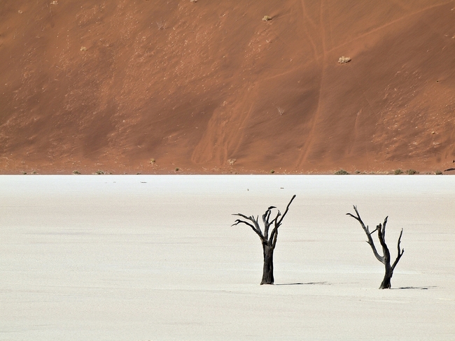 Намибия: Акации, мъртви от 900 години
