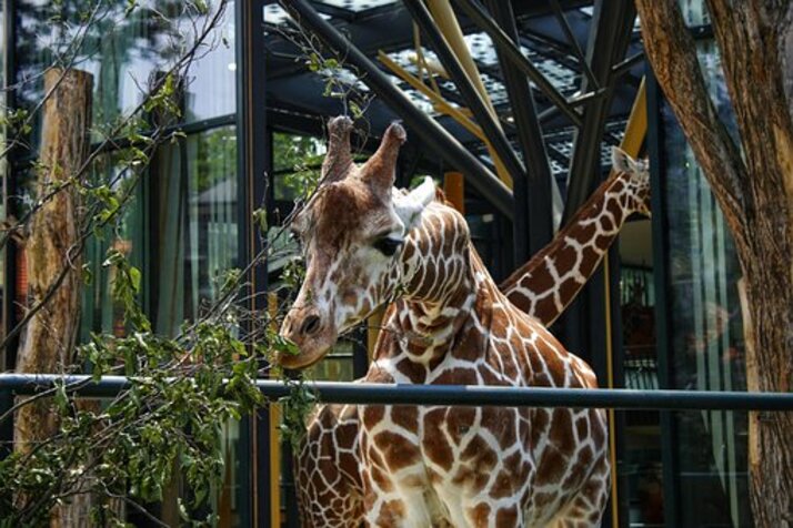 Най-интересните зоопаркове в света