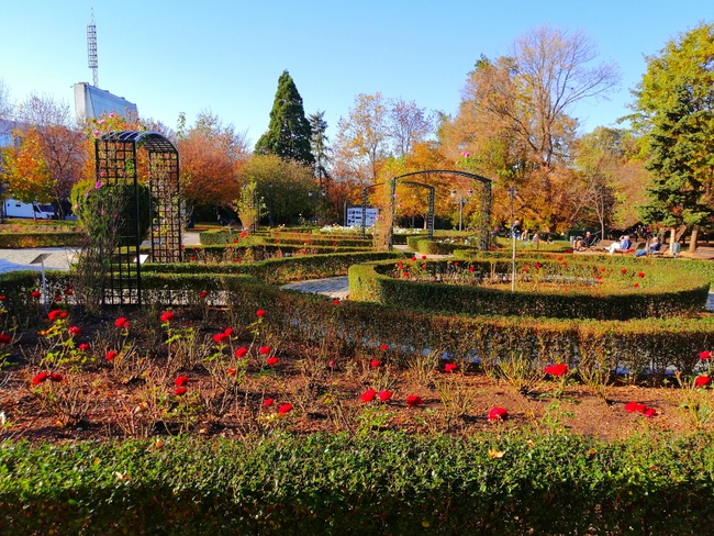 Идея за разходка в София – розариумът в Борисовата градина