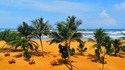 10-те най-интересни места на о-в Шри Ланка
