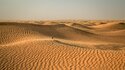 Най-интересното за пустинята Сахара