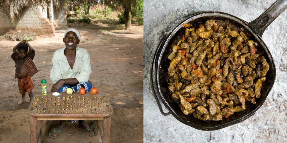 Гозбите на баба по света - Реджина Лифумбо, 53 г., Мчинджи, Малави - финкубала (гъсеници в доматен сос)