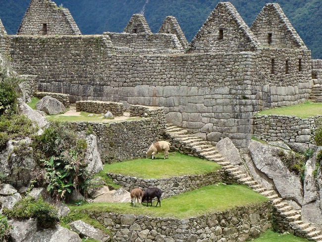 Защо Мачу Пикчу е толкова интересно място – история и факти