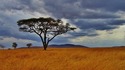 Интересни факти за Танзания