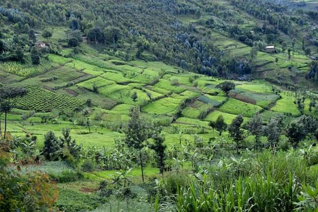 Бурунди в 25 невероятни факта