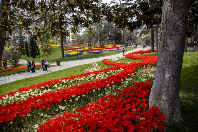 Три причини да посетите Истанбул през пролетта: Фестивалът на лалетата, разцъфналите гледки от Босфора и сезонната кухня