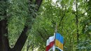 Евро 2012: Донецк и миллион алых роз