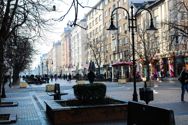"Витошка" отново е сред най-скъпите улици в Европа